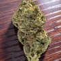 Семена конопли Thin Mint x Sour Pinot Auto от Barney's Farm
